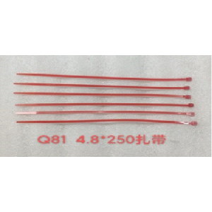AMARRAS PLÁSTICAS 4.8 X 250 ROJO (PAQUETE 100 UNIDAD)