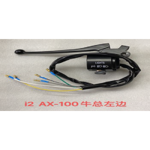 CAMBIO DE LUZ IZQUIERDA AX100 CON MANIJA