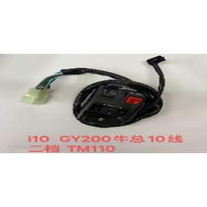 CAMBIO DE LUZ IZQUIERDA BROSS200 10CABLES