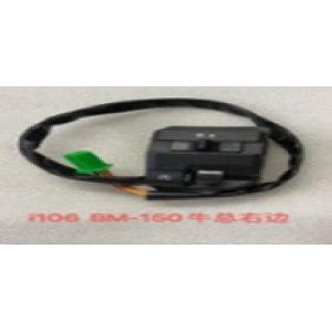CAMBIO DE RUN DERECHA BAJAJ BOXER BM150