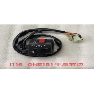 CAMBIO DE RUN DERECHA GN125 /MOTOR1 GNE151