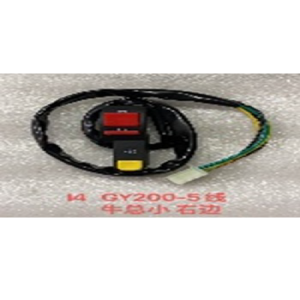 CAMBIO DE RUN DERECHA GY200/SUKIDA 250 PEQ. 5CABLES MACHO