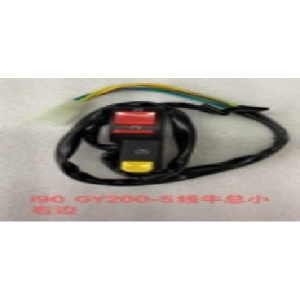 CAMBIO DE RUN DERECHA GY200/SUKIDA-250 PEQ. 5CABLES HEMBRA