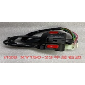 CAMBIO DE RUN DERECHA SHINERAY XY150-23 /XY200-23 FAST