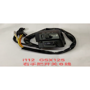 CAMBIO DE RUN DERECHA SUZUKI GSX125 6CABLES