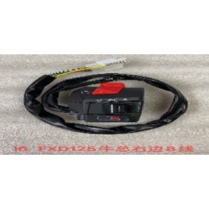 CAMBIO DE RUN DERECHA WY125 8CABLES