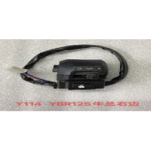 CAMBIO DE RUN DERECHA YAMAHA YBR125 /125Z