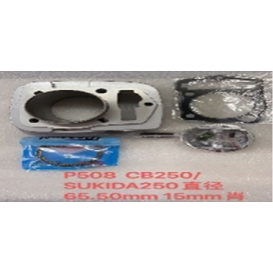 CILINDRO CB250 250CM3 65.5MM PIN 15MM /SKR250 /FACTORY250 CADE