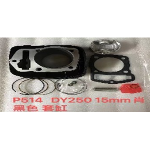 CILINDRO DAYTONA DY250 TEKKEN /AXXO TRACKER 250 233CM3 CADENIL