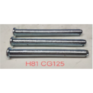 EJE PARA PATA APOYO DOBLE CG125
