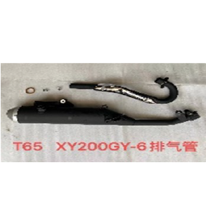 ESCAPE SHINERAY XY200GY-6 NEGRO