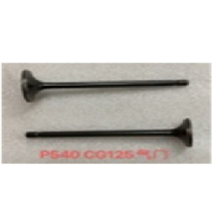 VALVULA ADMISION Y ESCAPE YAMAHA CRYPTON T105 PICO LARGO